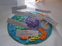 59024513313148872904392163180430546745468884n